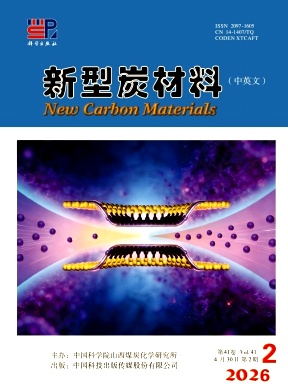新型炭材料(中英文)封面